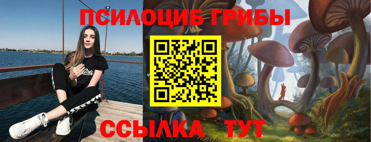 Галлюциногенные грибы мицелий  Вход с VPN  Кингисепп 